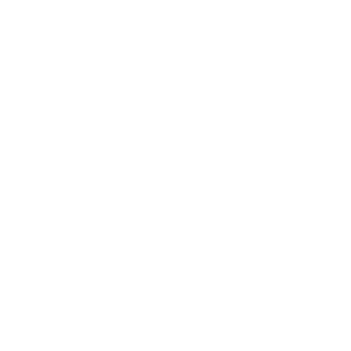 INVISIBLE NORTH