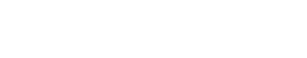 멋쟁이사자처럼